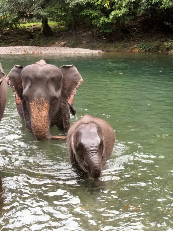  photo IMG_0680-1.jpg