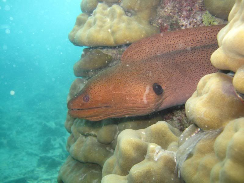  photo IMG_8940-1.jpg