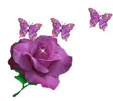 Lavender Rose n Butterflies Pictures, Images and Photos