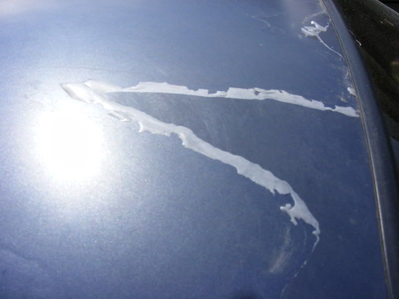 Clear coat coming off. Just Commodores