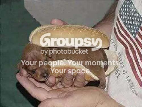 C6mMKeoj9.jpg