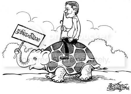 Cartoon-large.jpg