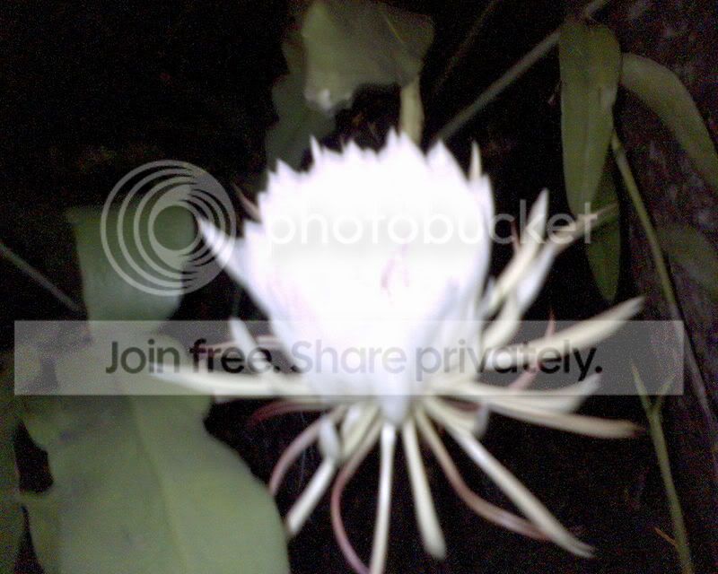 DSC00065.jpg