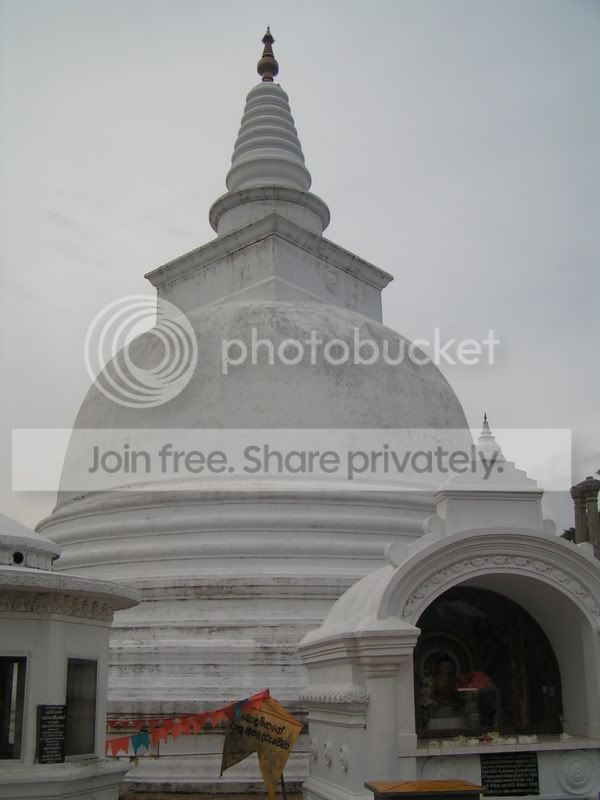 PICT0079.jpg
