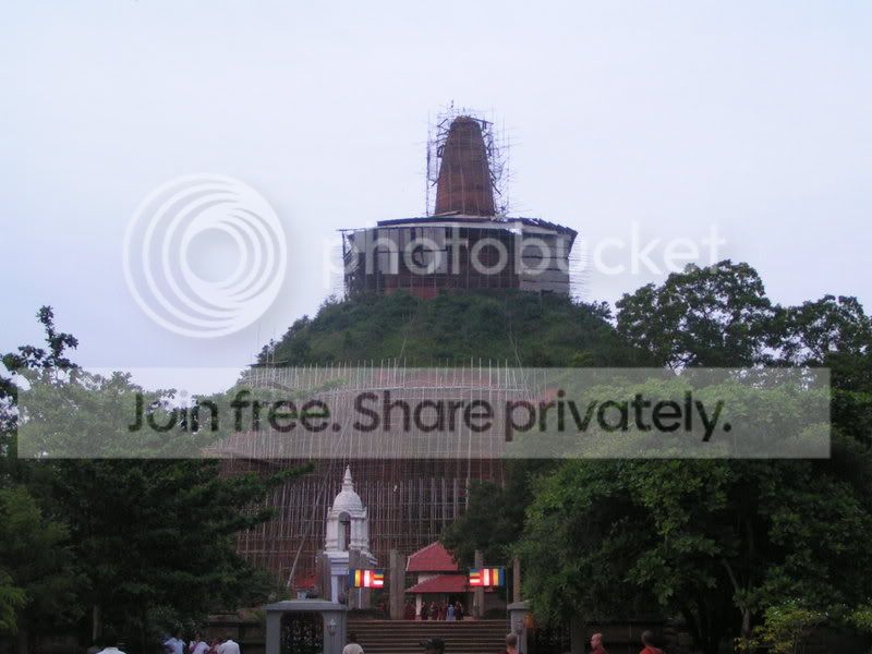 PICT0103.jpg