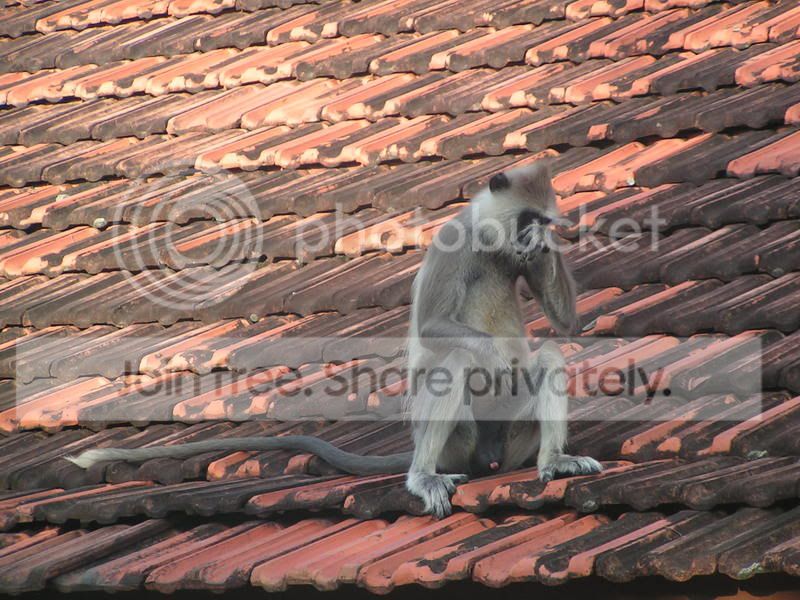 PICT0126.jpg