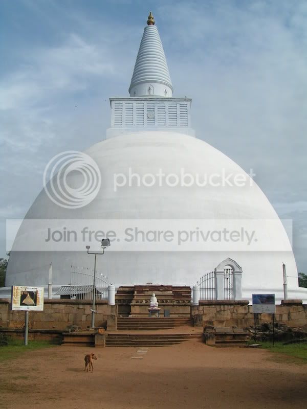 PICT0129.jpg