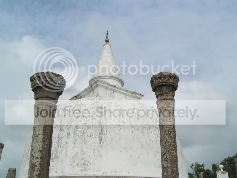PICT0142.jpg