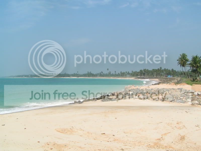 PICT0202.jpg