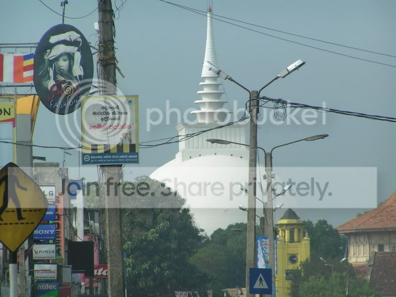 PICT0229.jpg