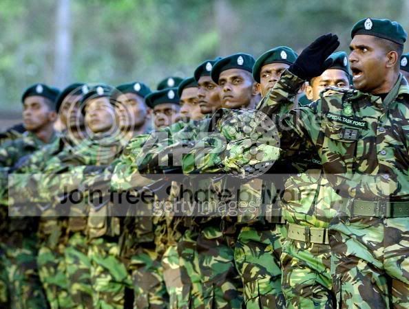 STF10.jpg
