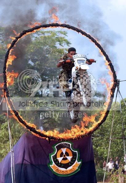STF12.jpg
