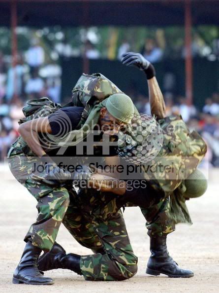 STF9.jpg