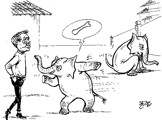 cartoon-6.gif