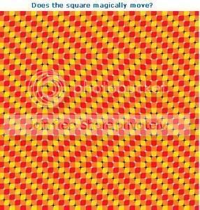 moving2.jpg