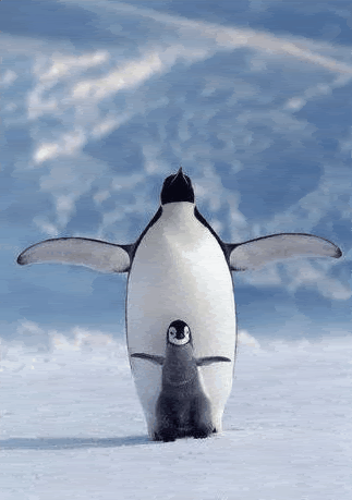 pen.gif