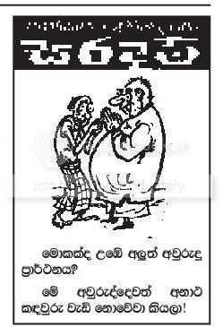 saradam-4.jpg