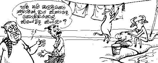 suwaris20061128.gif