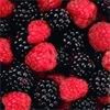 berries
