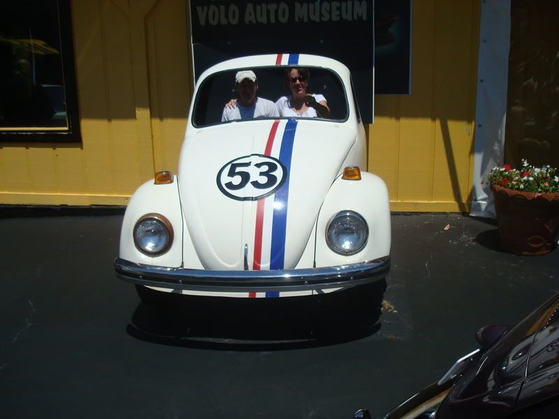 Herbie