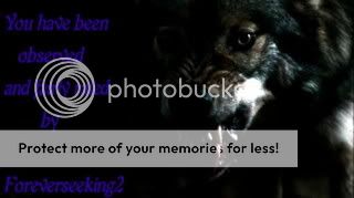 Photobucket - Video and Image Hosting