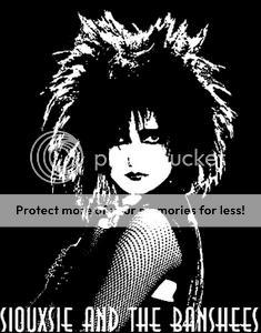 Siouxsie And The Banshees Pictures, Images and Photos